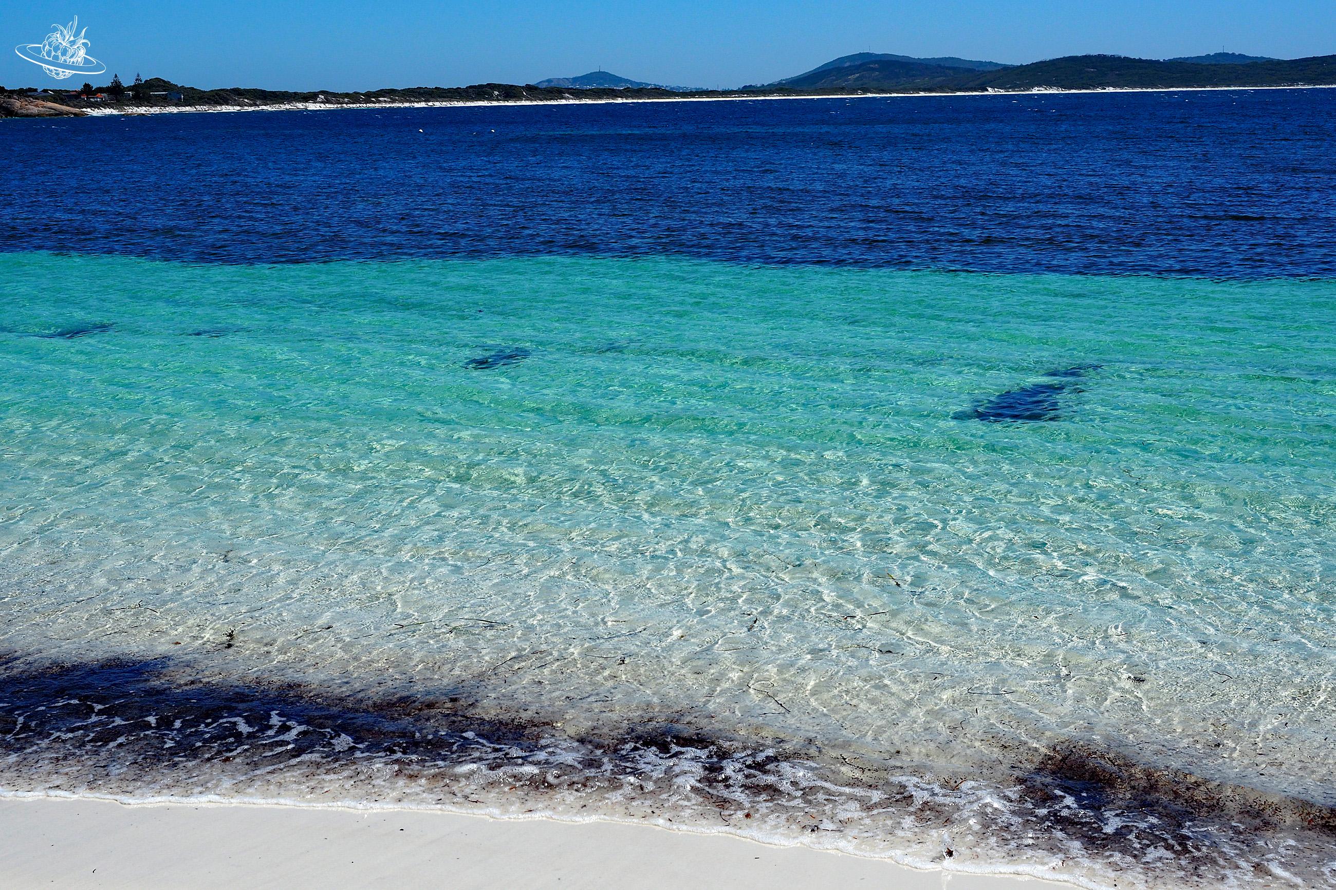 Frenchman Bay: Wunderschöne Strände in Südwestaustralien