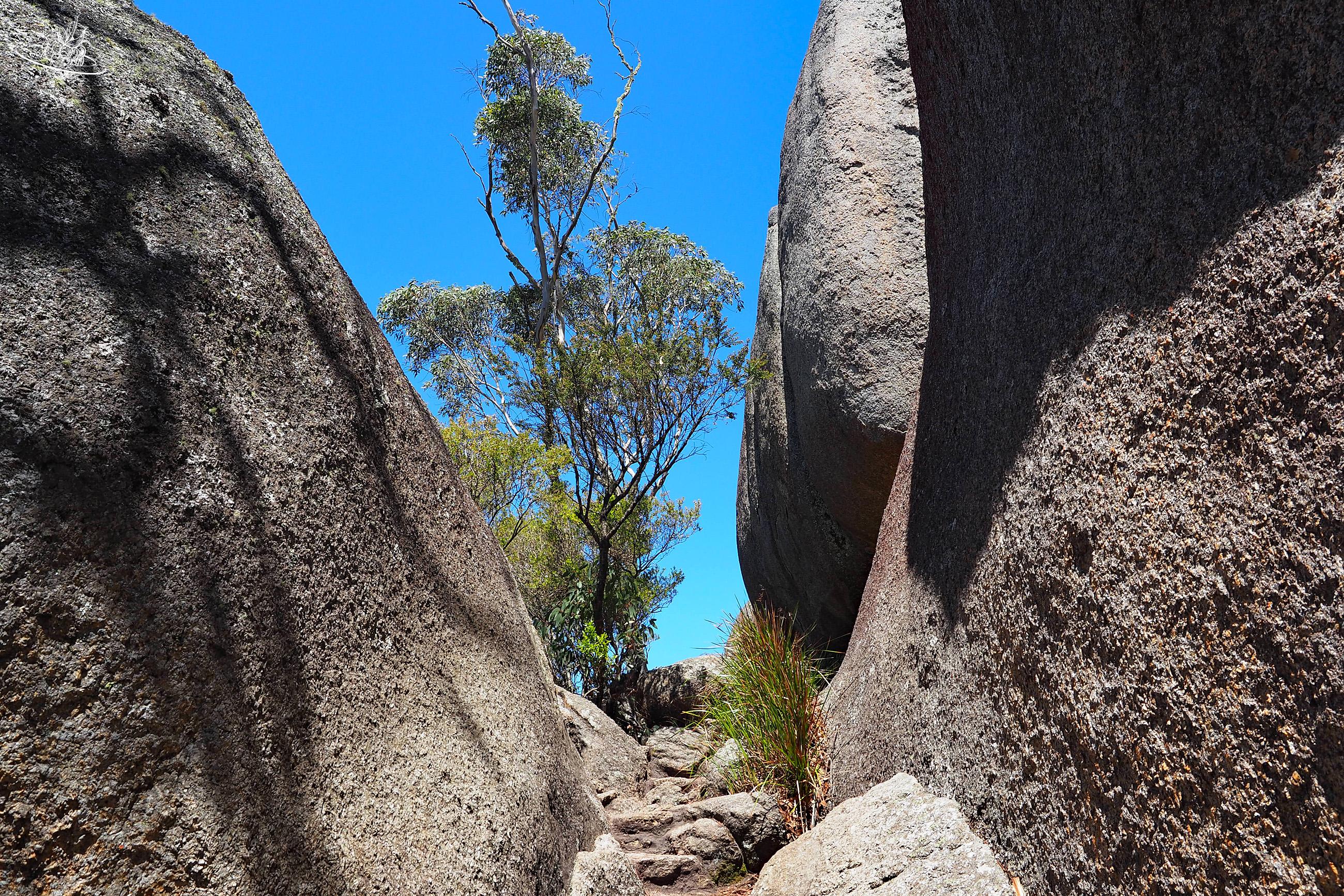 Skywalk Granite Porongurup Nationpark