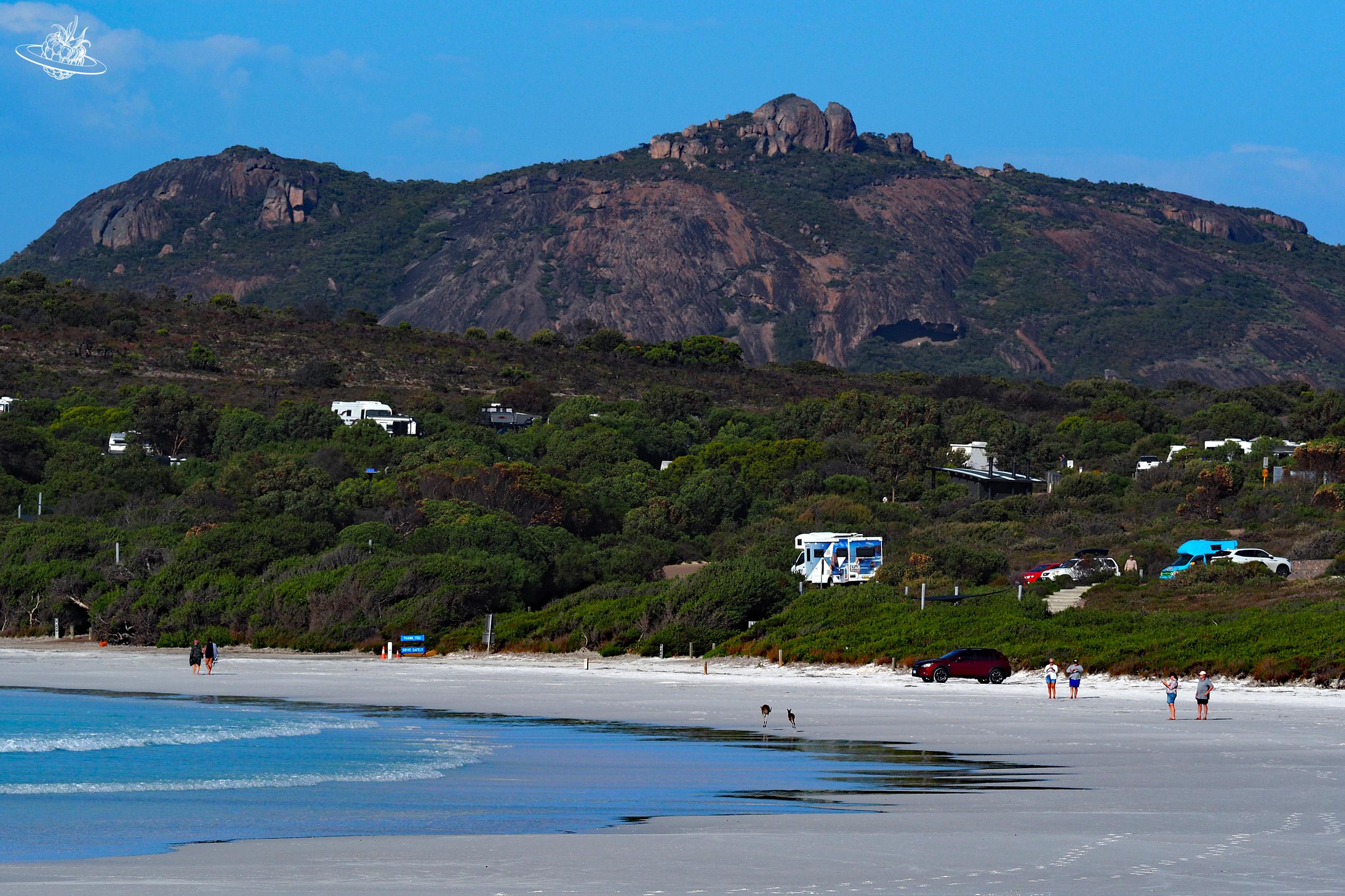 Lucky Bay: wie der Strand aussieht
