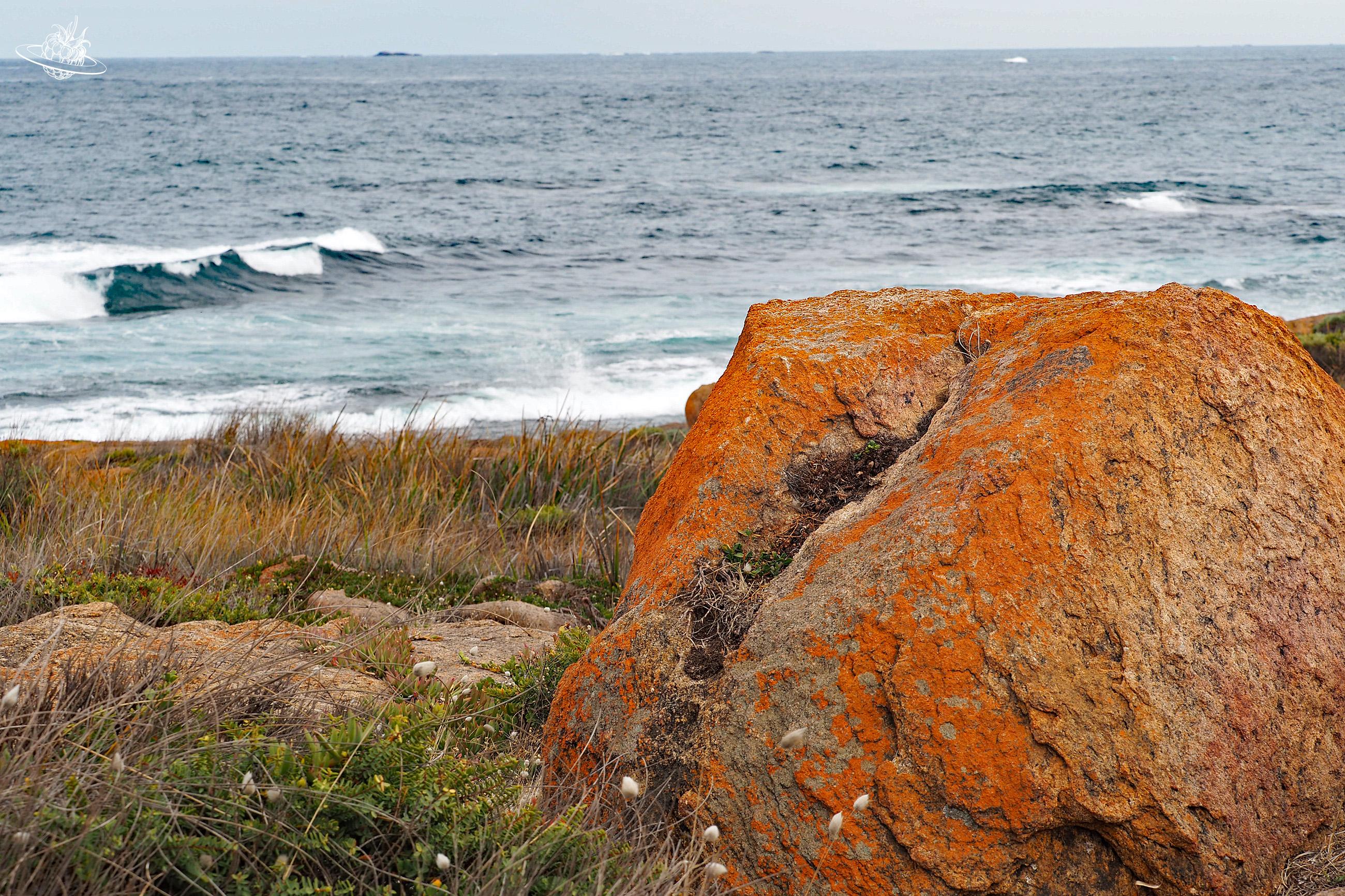 Von Cape zum Cape in Südwestaustralien