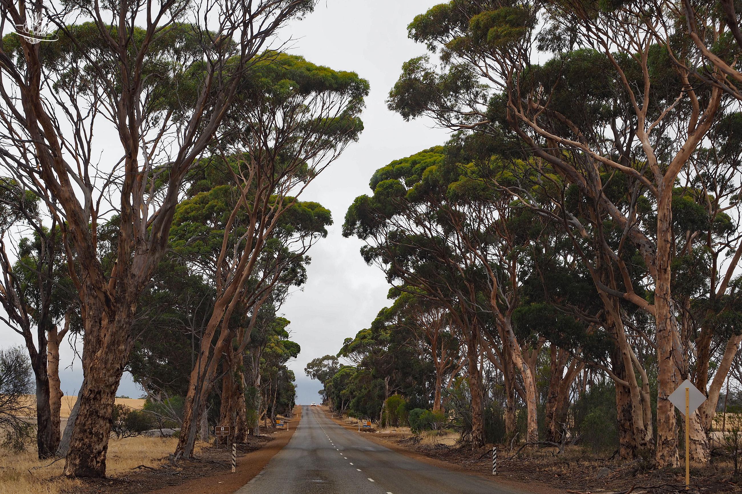Mietwagen Reisetipp Suedwest Australien
