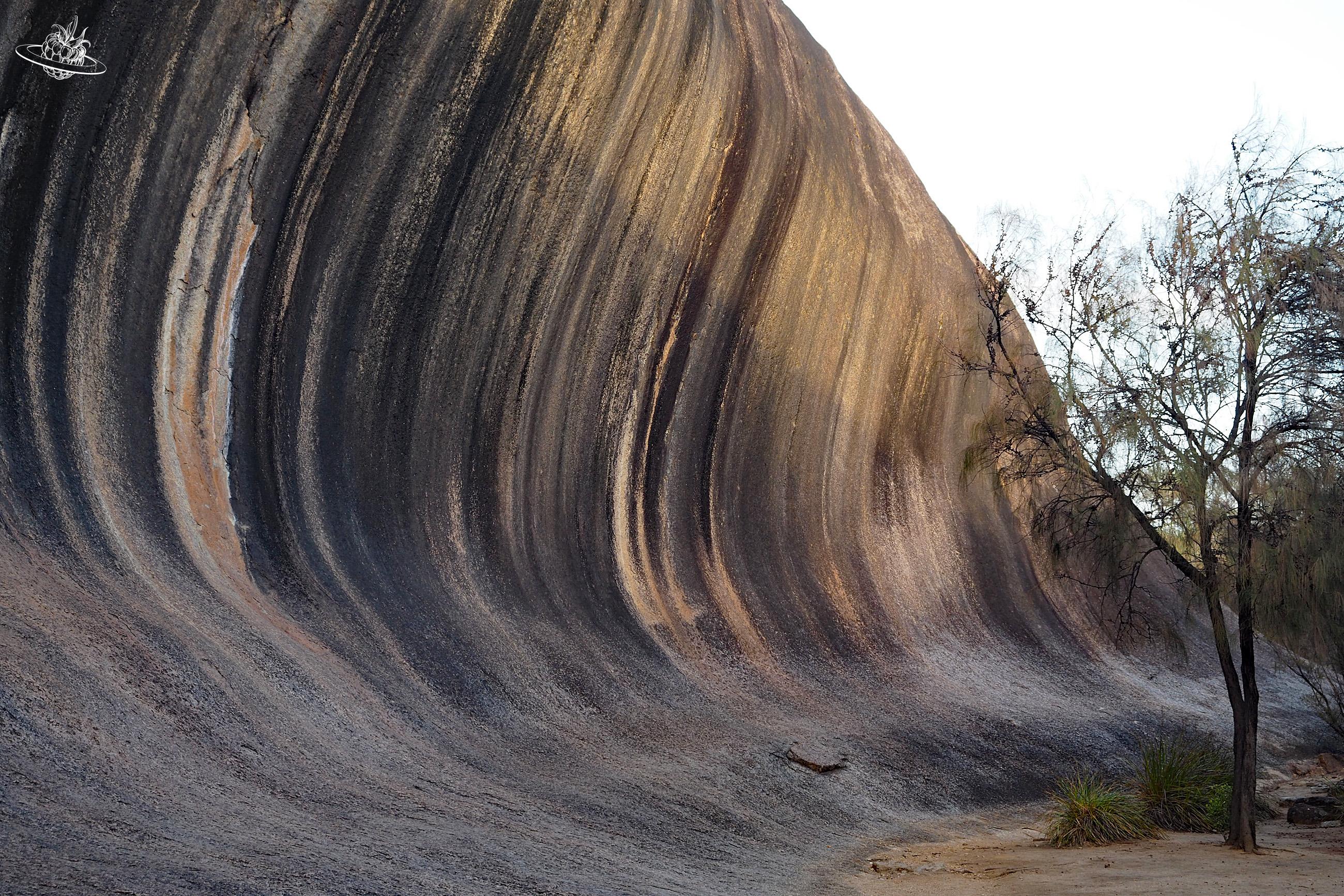 Felswand Wave Rock Australien
