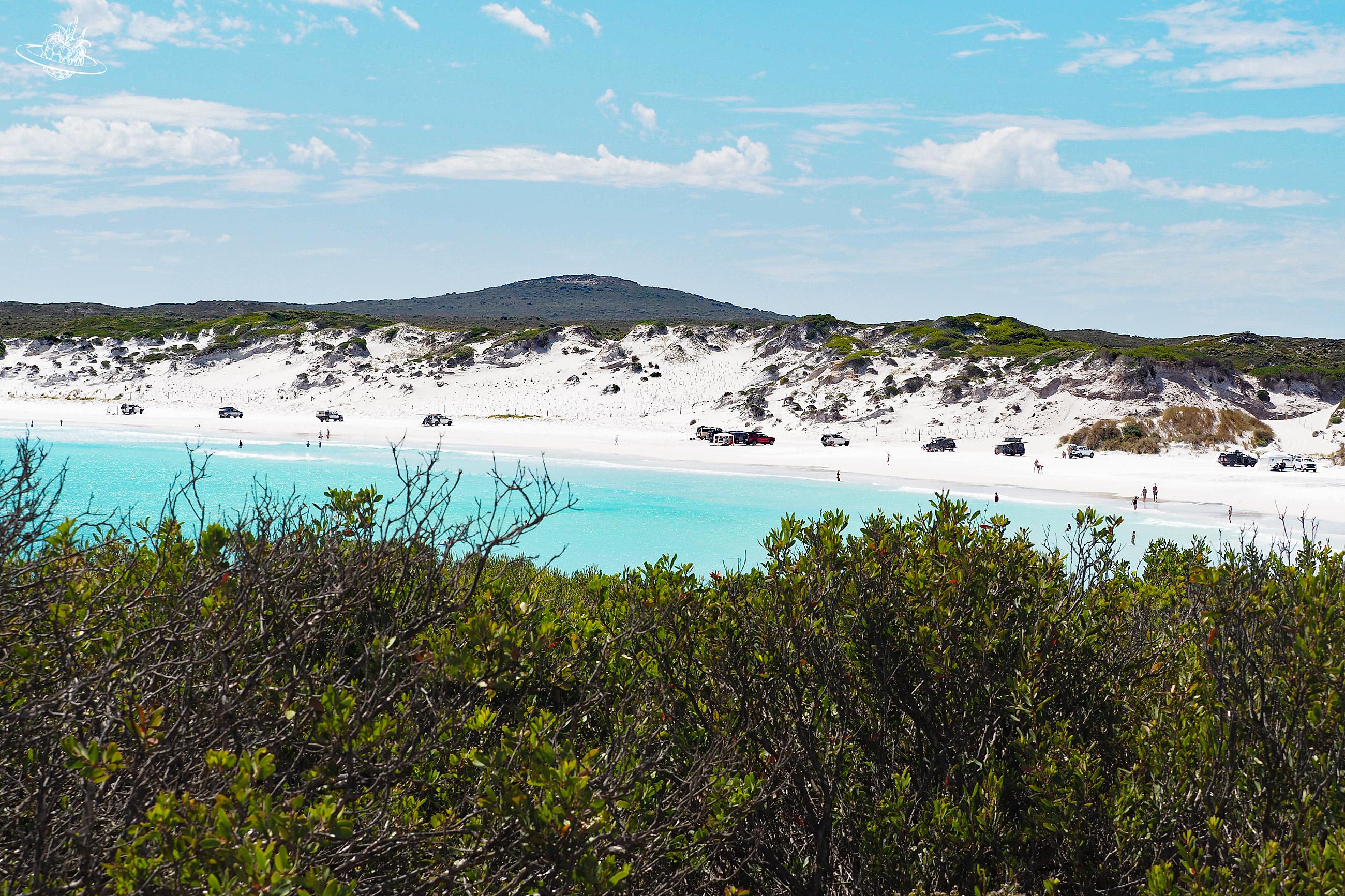 Wharton Strand: Unser persönlicher Favorit