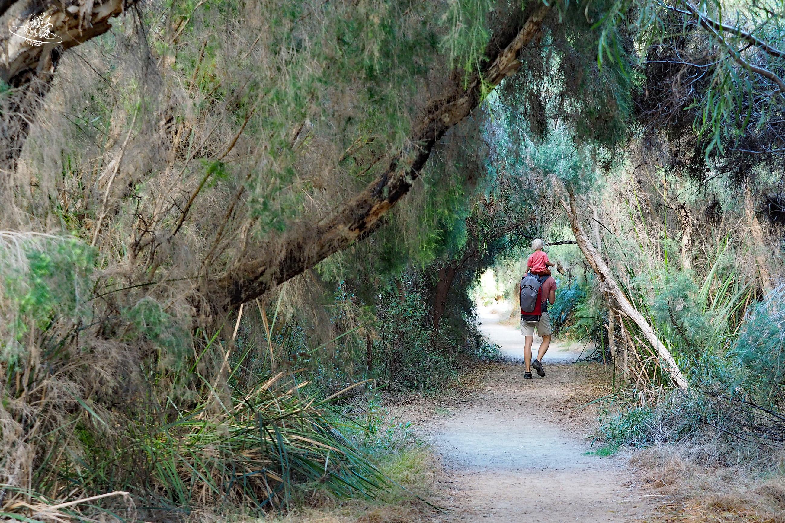 Reisetipp Wandern im Nationalpark Yanchep