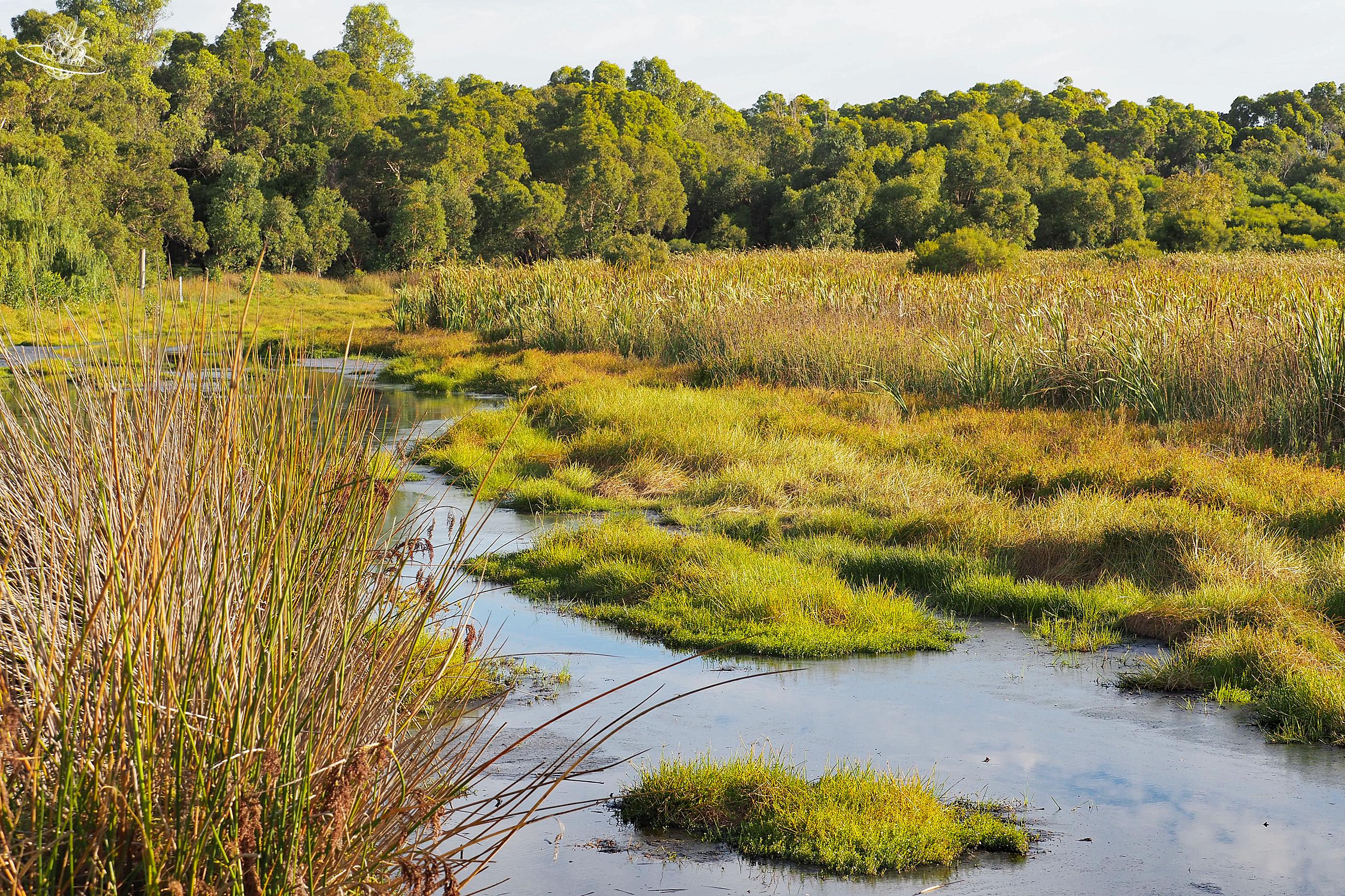 Yanchep Nationalpark