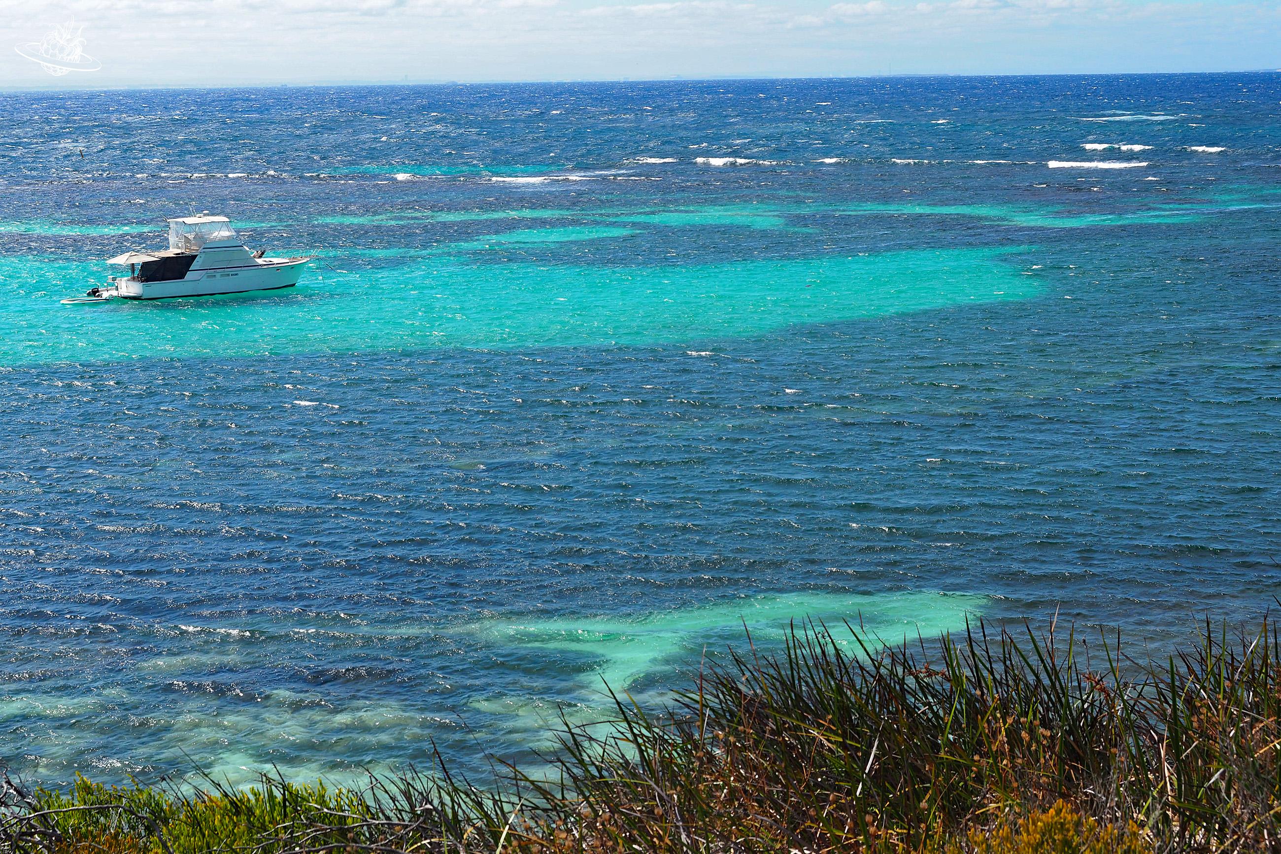 Wie kommt man auf die Rottnest Insel