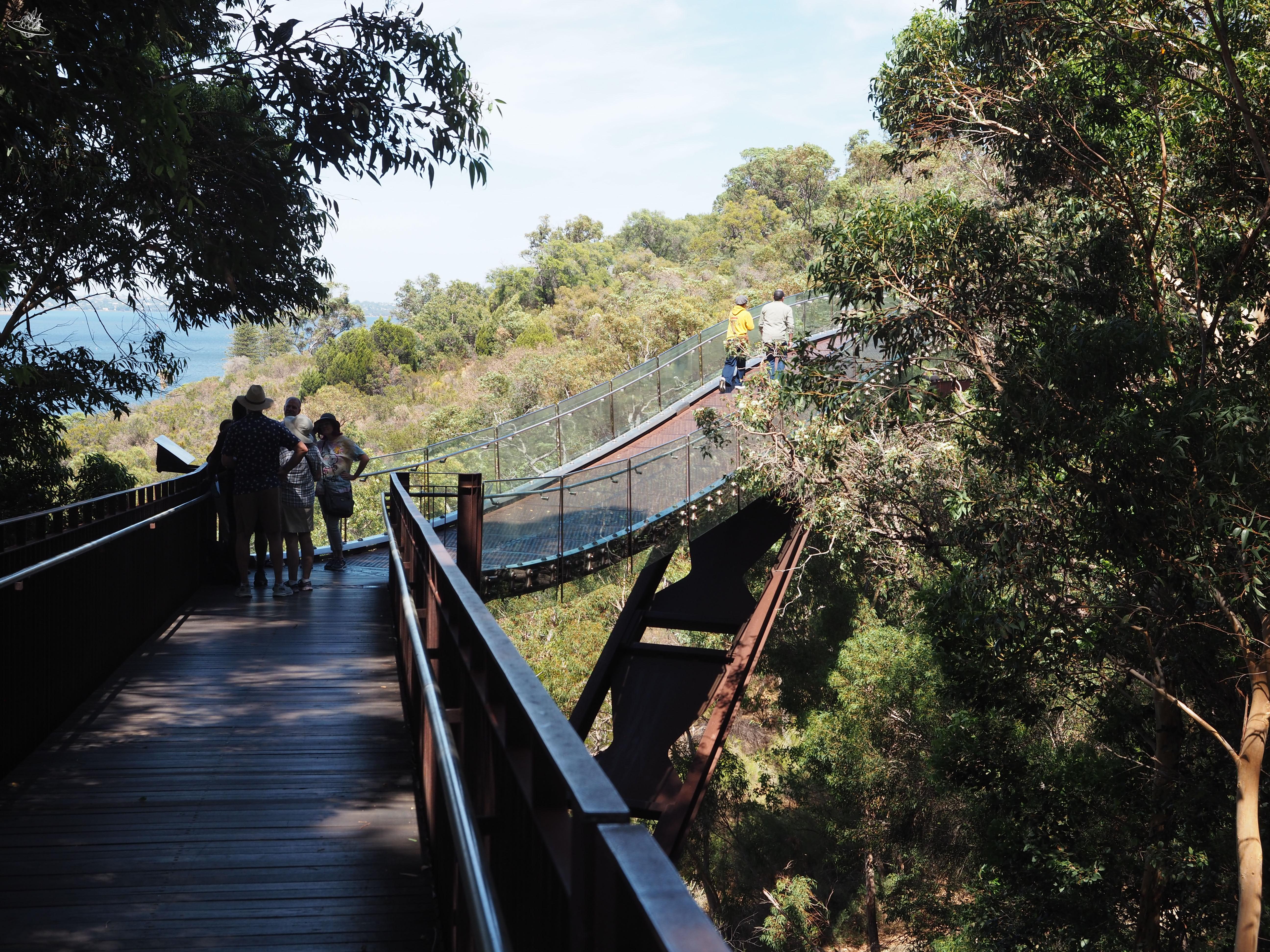 Reisetipp Perth: Spaziergang im Kings Park Lottery Federation