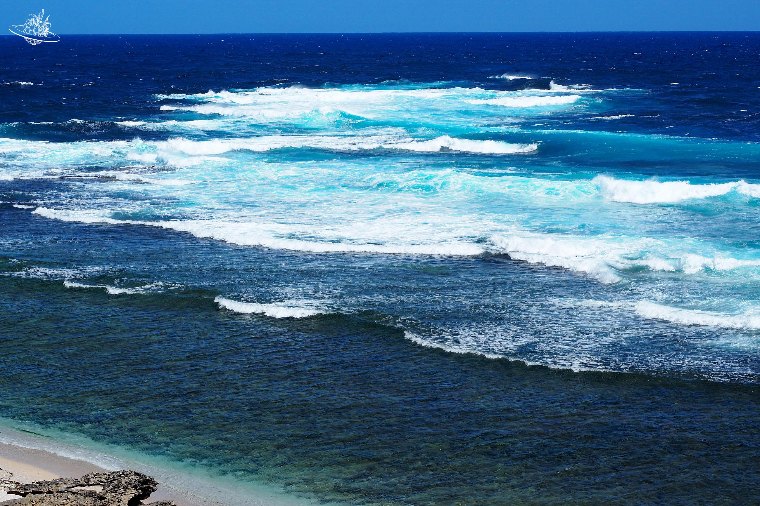 Eine wunderschöne Insel vor Perth: Rottnest Insel