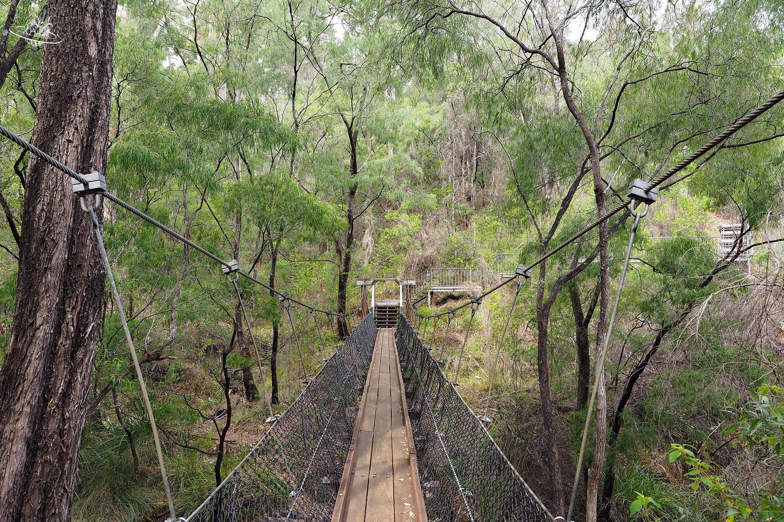 Wandern in Südwestaustralien: Von Hängebrücke zu Hängebrücke